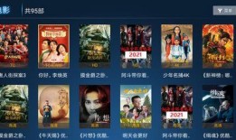 水神外网爆料视频在线观看,在线观看背后的真相与争议