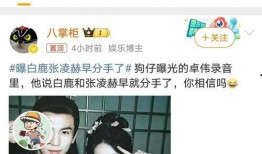 最新爆料白鹿一问一答,一问一答揭秘幕后故事